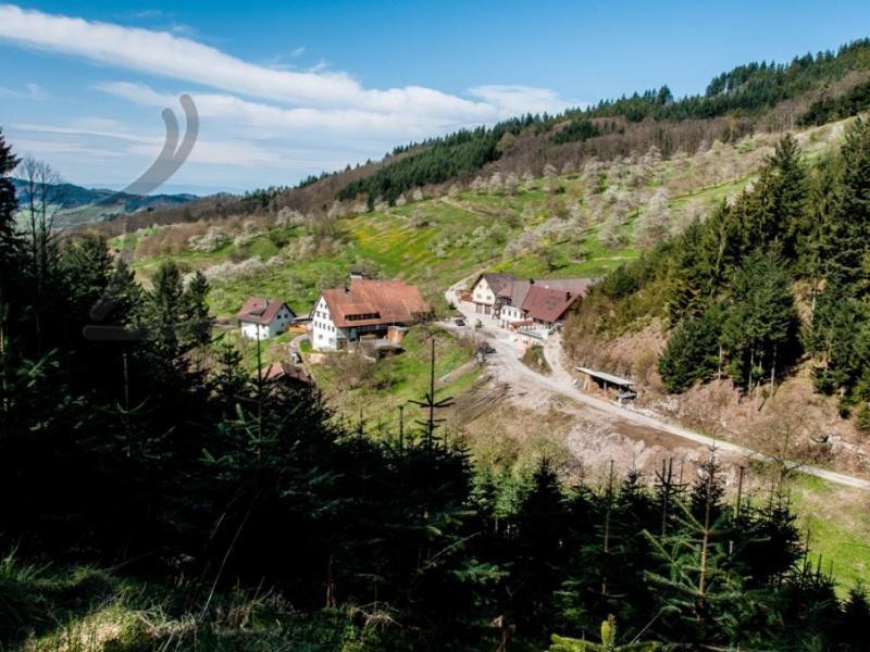 Ferienwohnung Schneckenhus Lautenbach Bagian luar foto