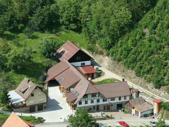 Ferienwohnung Schneckenhus Lautenbach Bagian luar foto