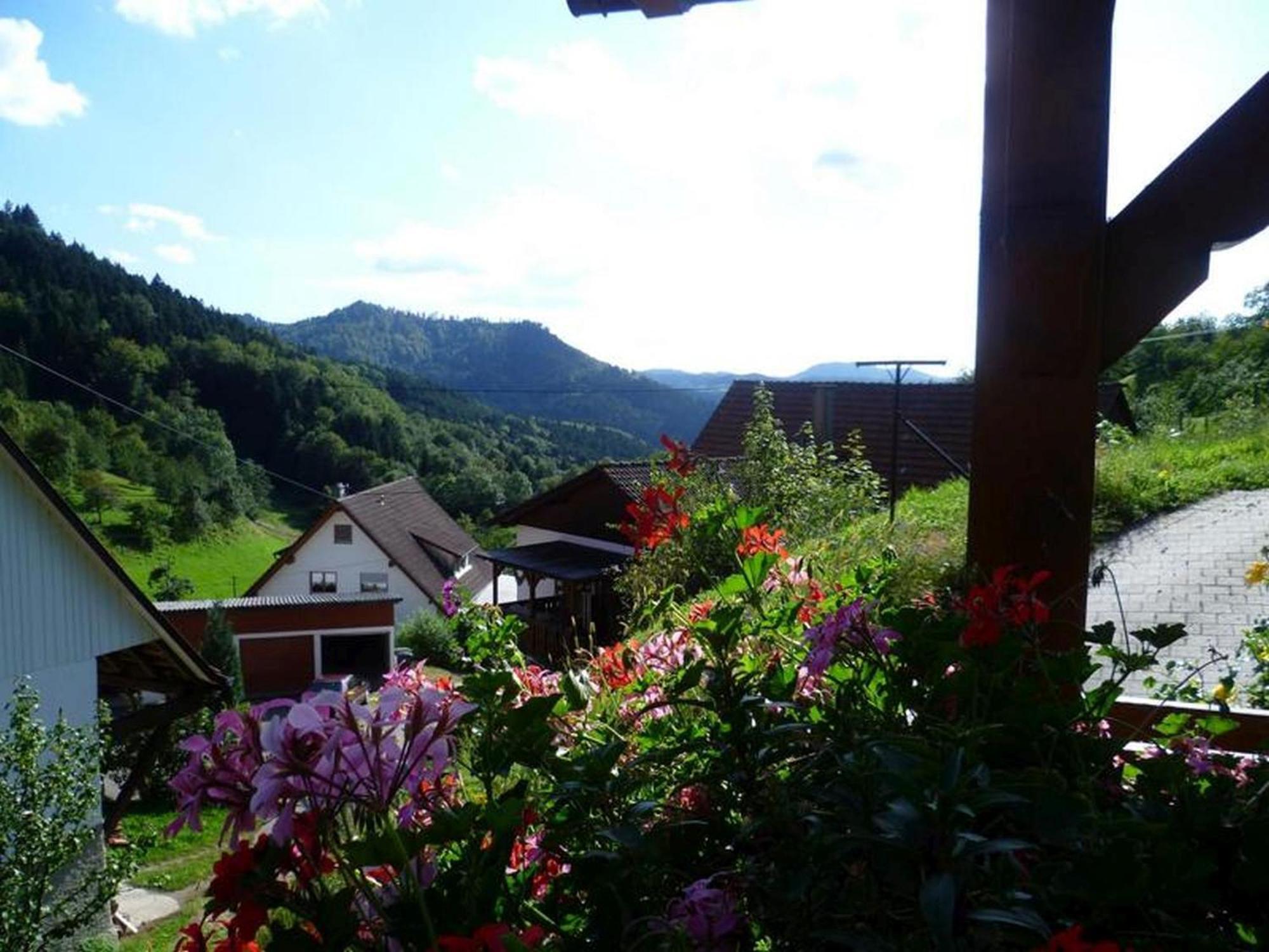 Ferienwohnung Schneckenhus Lautenbach Bagian luar foto