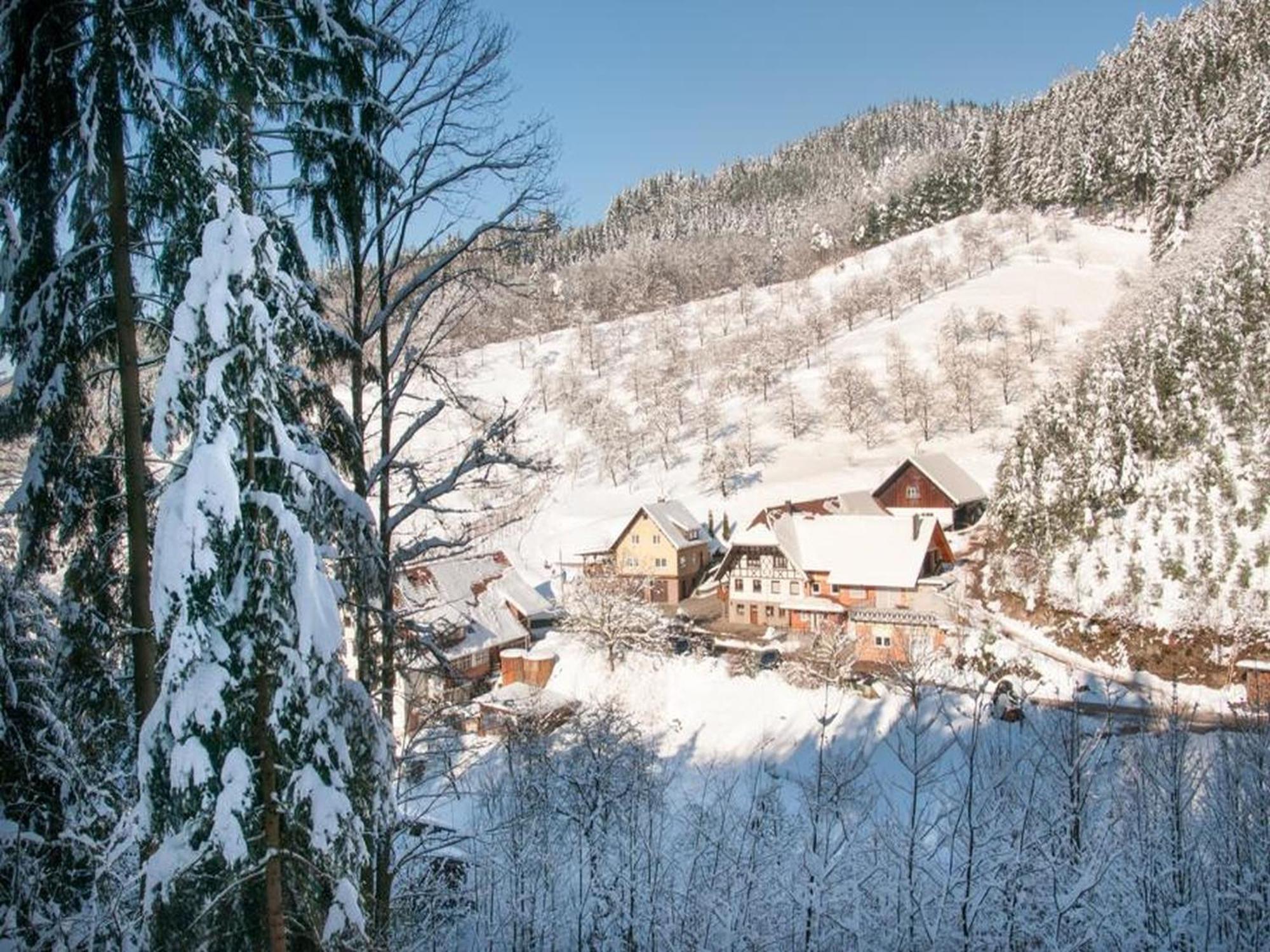 Ferienwohnung Schneckenhus Lautenbach Bagian luar foto