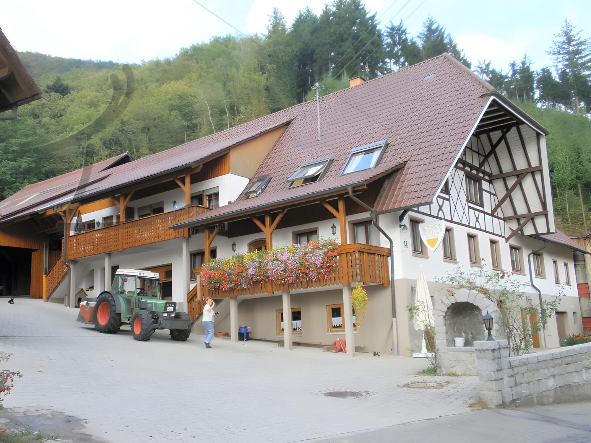 Ferienwohnung Schneckenhus Lautenbach Bagian luar foto